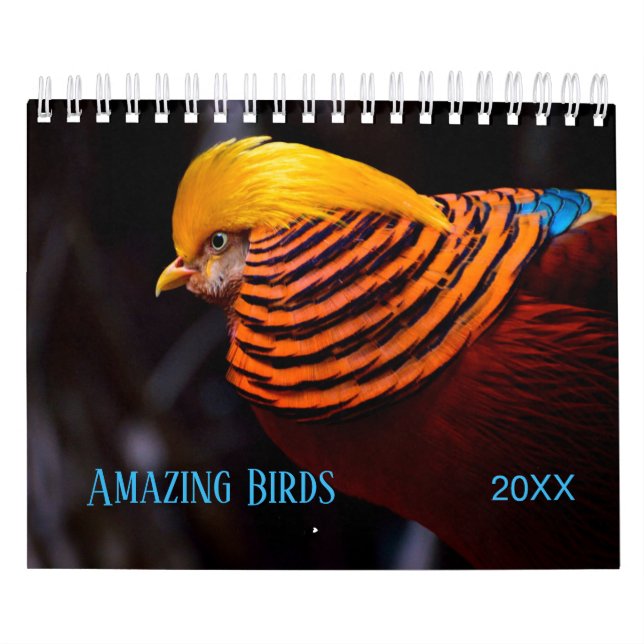 Calendrier Photographie Extraordinaire des OISEAUX (Protection)