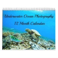 Photographie sous-marine d'océan