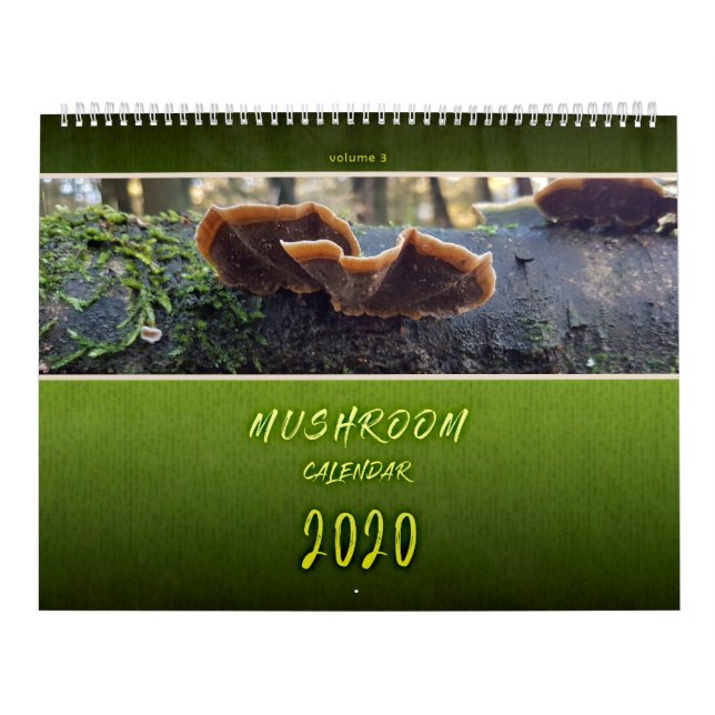 CALENDRIER PHOTOGRAPHIES DES CHAMBRES DE PIENPANO (Protection)