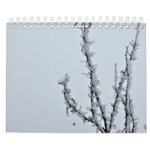 calendrier photographique