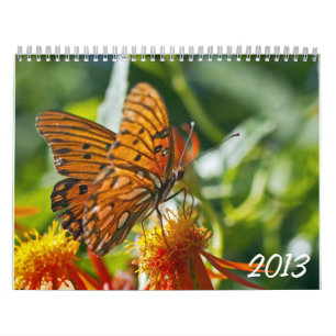 Calendrier photographique 2013