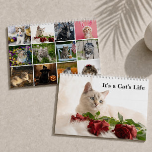 Calendrier Photos de Chats Mignons C'est la Vie d'un Chat