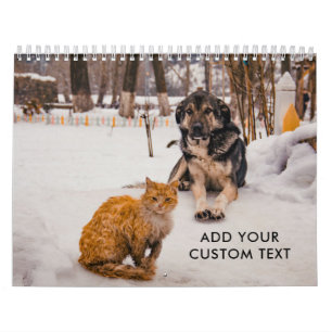 Calendrier Photos de chiens et de chats drôles et mignons per