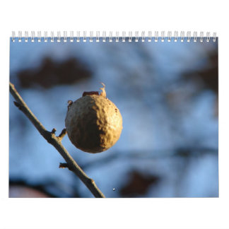 Calendrier Photos de nature