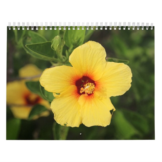 Calendrier Photos de nature de Kaui (Protection)