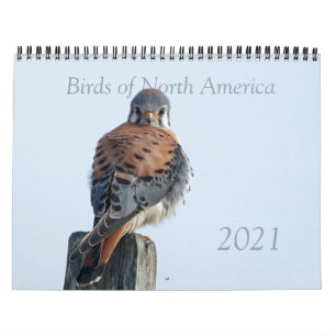 Calendrier - Photos des oiseaux d'Amérique du Nord