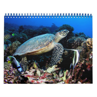 Calendrier Photos sous-marines 2015
