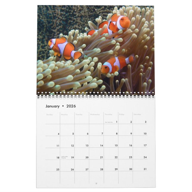 Calendrier Photos sous-marines 2015 (Jan 2026)