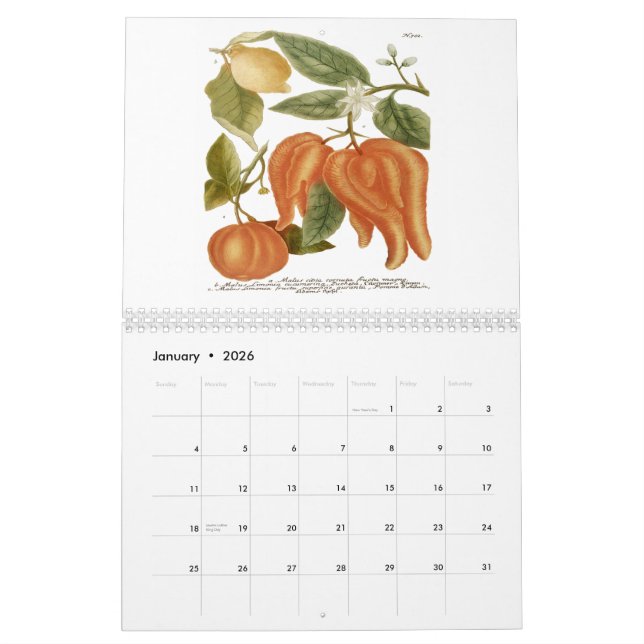 Calendrier Phytanthoza Iconographia (Jan 2026)