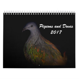 Calendrier Pigeons et colombes 2017