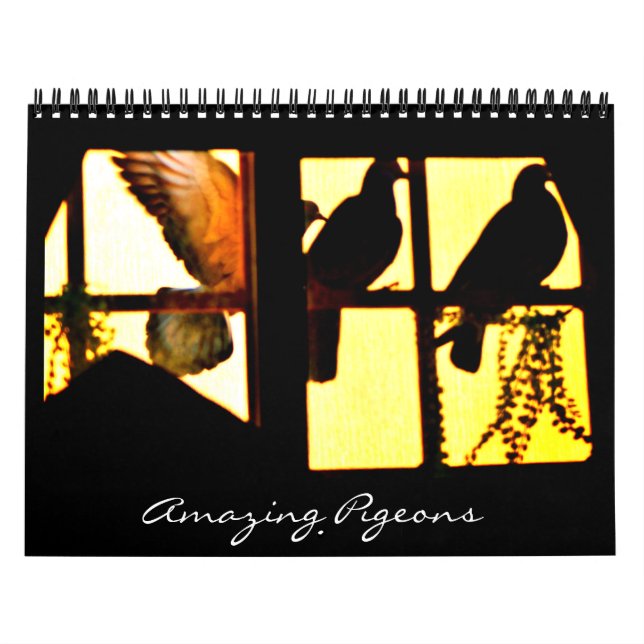 Calendrier Pigeons Extraordinaires (Protection)