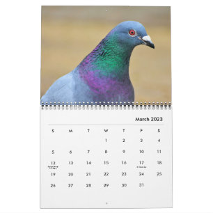 Calendrier Pigeons paisibles et colombes élégantes Nature ins
