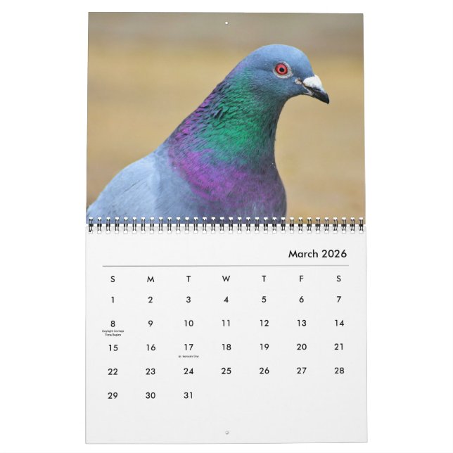 Calendrier Pigeons paisibles et colombes élégantes Nature ins (Mar 2026)