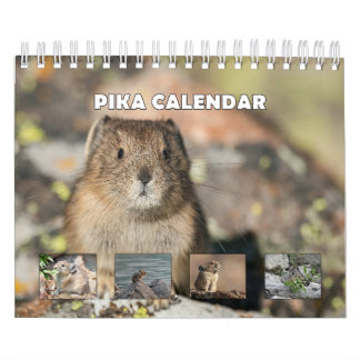 Calendrier Pika