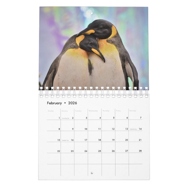 Calendrier Pingouin (Feb 2026)
