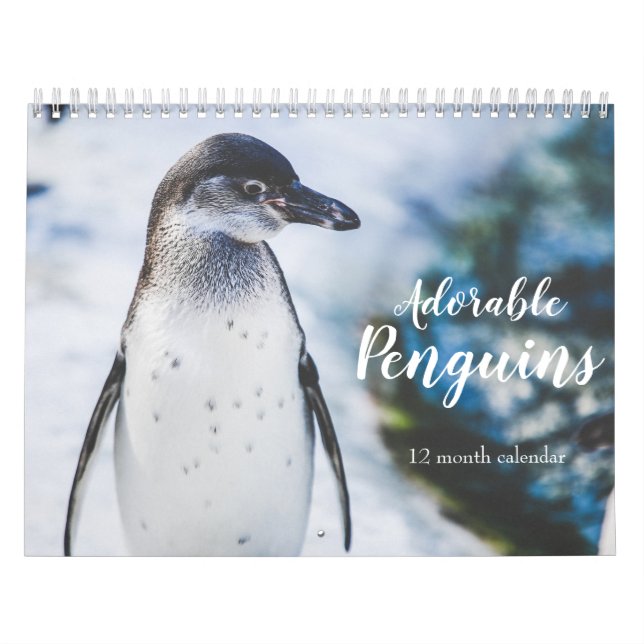 Calendrier Pingouins adorables 2026 (Protection)
