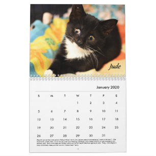 Calendrier Place Tabby