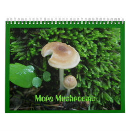 Calendrier - Plus de champignons