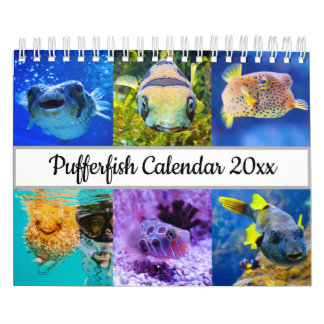 Calendrier Poisson