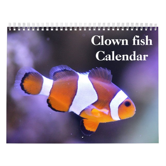 Calendrier Poisson clown 2025 (Protection)