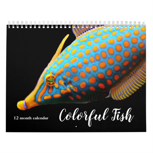 Calendrier Poisson coloré 2026 (Protection)