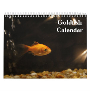 Calendrier Poisson rouge 2025