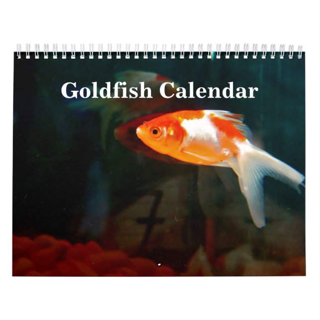 Calendrier Poisson rouge 2025 (Protection)