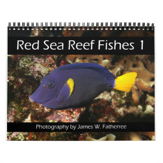 Calendrier Poissons du récif de la mer Rouge 1