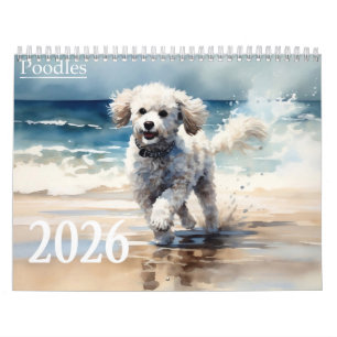 Calendrier Poodles 2026