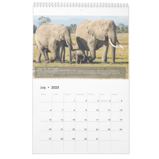 Calendrier Portraits de la vie d'un éléphant
