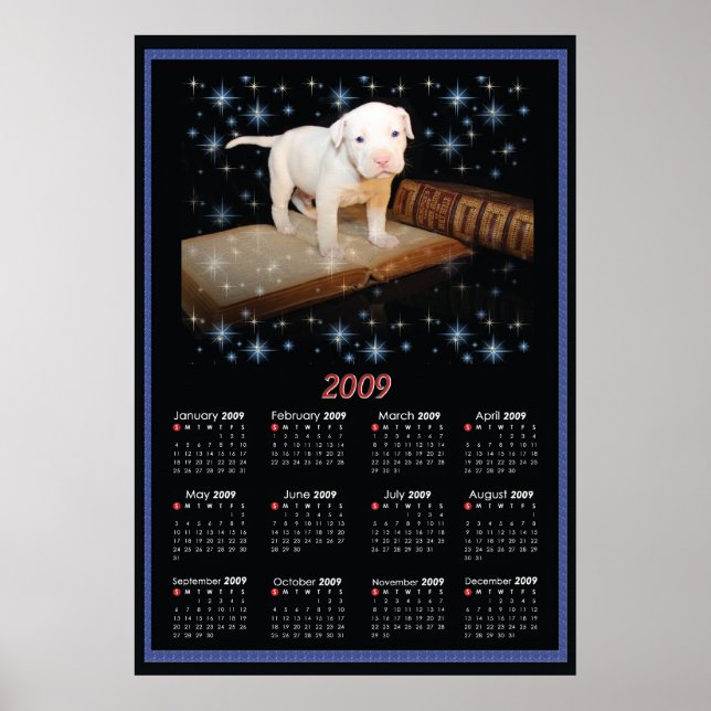 Calendrier Poster 2009 de Luna (Devant)