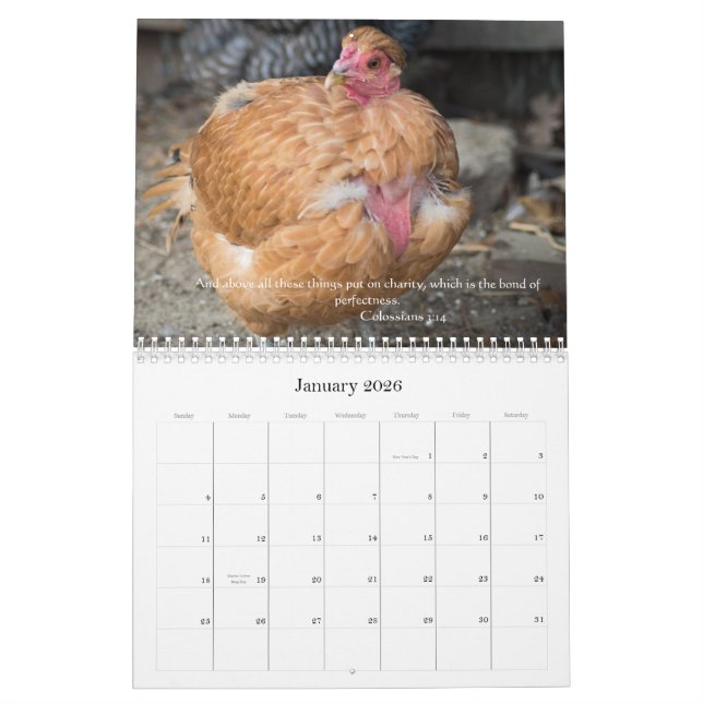 Calendrier Poulets 2014 (avec des passages de bible) (Jan 2026)