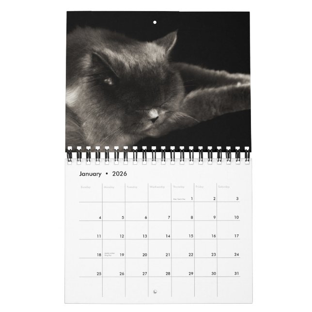 Calendrier précieux des chats 2012 (Jan 2026)