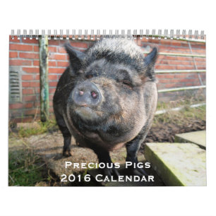 Calendrier Precious Pigs 2016