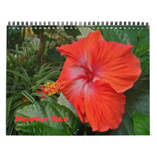 Calendrier - Principalement rouge