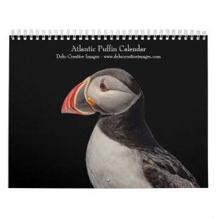 Calendrier Puffins de l'Atlantique 2025