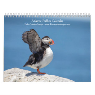 Calendrier Puffins de l'Atlantique 2026