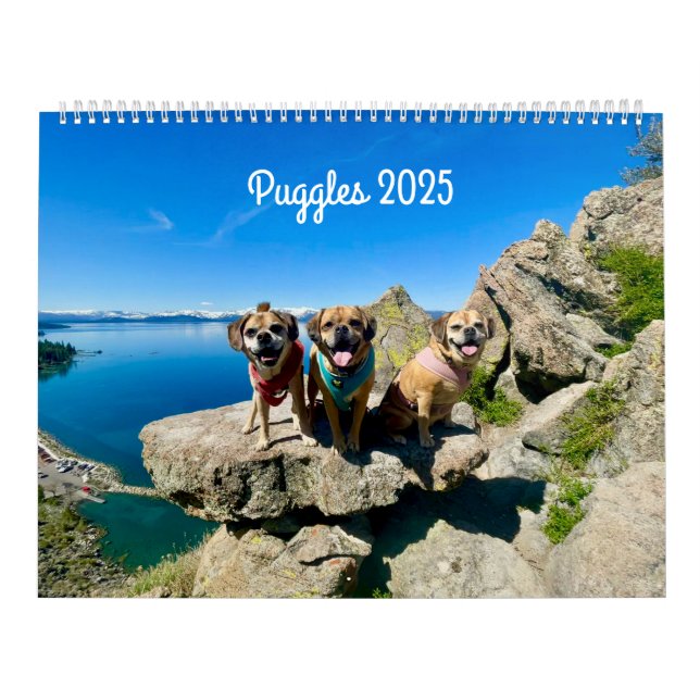Calendrier Puggle 2025 (Protection)
