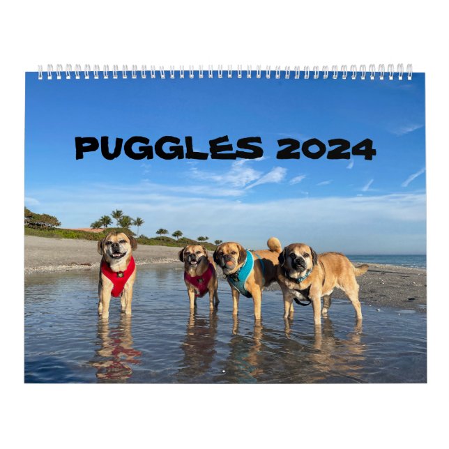 CALENDRIER PUGGLES 2024 (Protection)