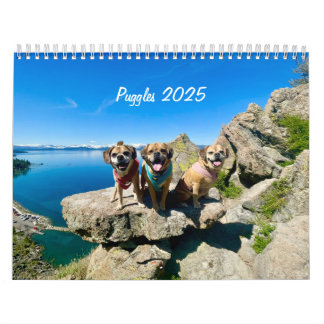 Calendrier Puggles 2025