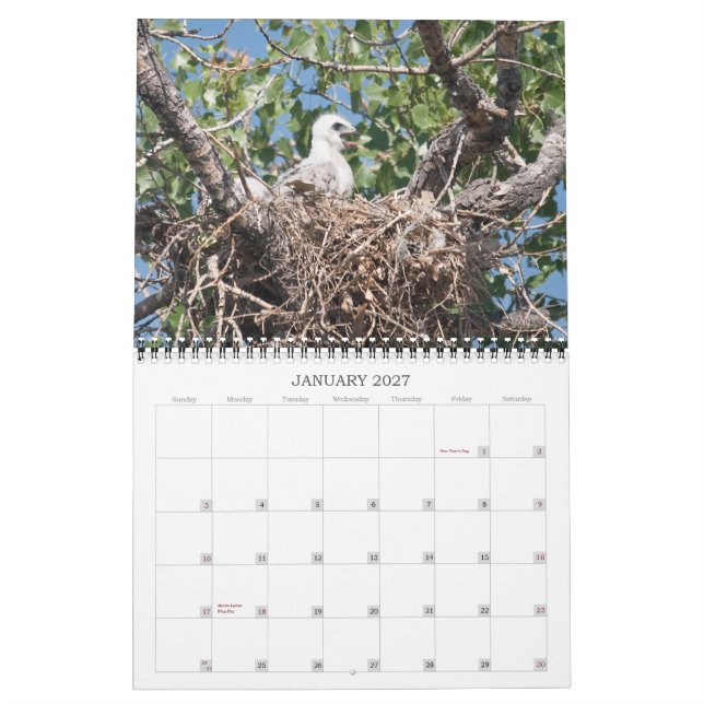 Calendrier Puits 2011 (Jan 2027)