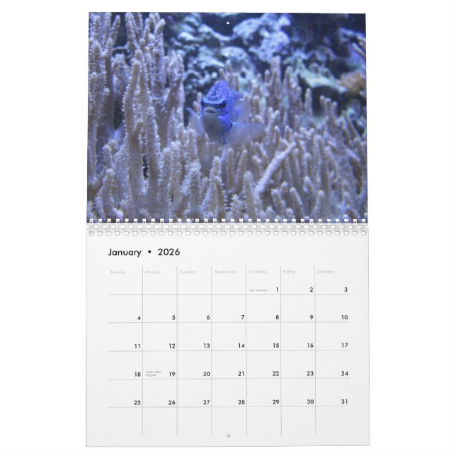 Calendrier Quelque chose de poisson (Jan 2026)