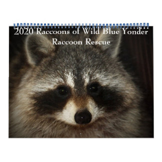 Calendrier Raccoons 2020 de Wild Blue Yonder Raccoon Secourt