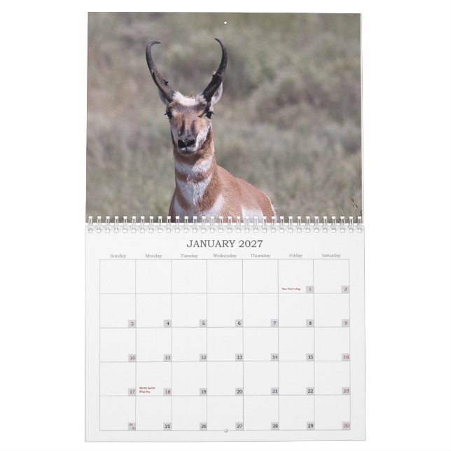 Calendrier Ranch de 2012 puits (Jan 2027)