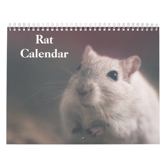 Calendrier Rat 2025 (Protection)