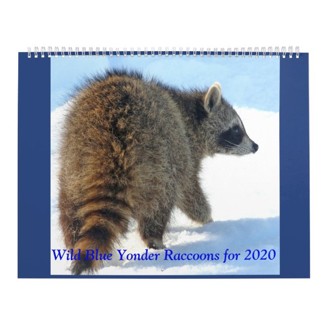 Calendrier Raton laveur bleu sauvage de 2019 (Protection)