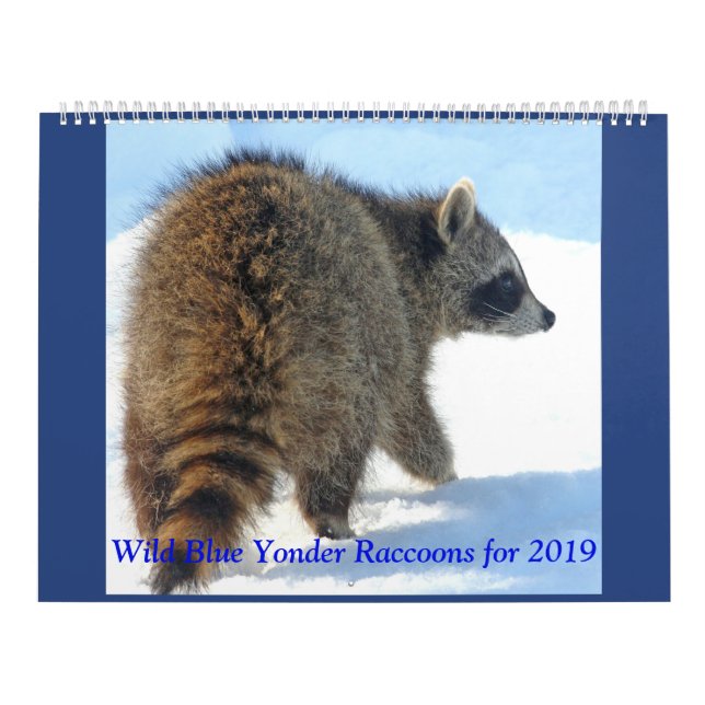 Calendrier Raton laveur bleu sauvage de 2019 (Protection)