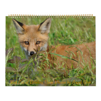 Calendrier Red Fox par Angel Cher