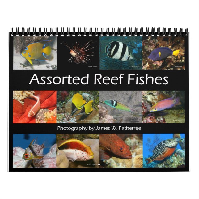 Calendrier Reef Fishes Wall Calendar 2 de J.W. Patrie (Protection)