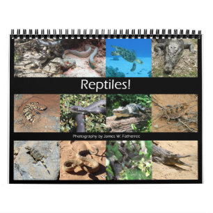 Calendrier Reptiles Wall Calendar de J.W. Patrie.